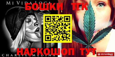 индика Будённовск