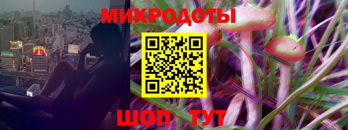 Псилоцибиновые грибы Psilocybe  Волжск  Псилоцибиновые грибы Cubensis 